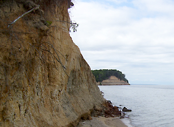 Calvert Cliffs State Park